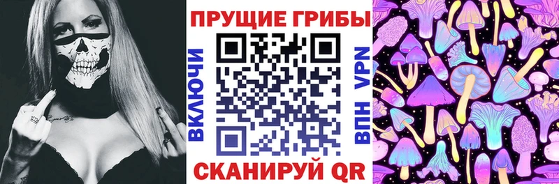 Псилоцибиновые грибы прущие грибы  OMG ссылки  Валдай 